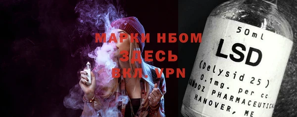 дживик Пестово