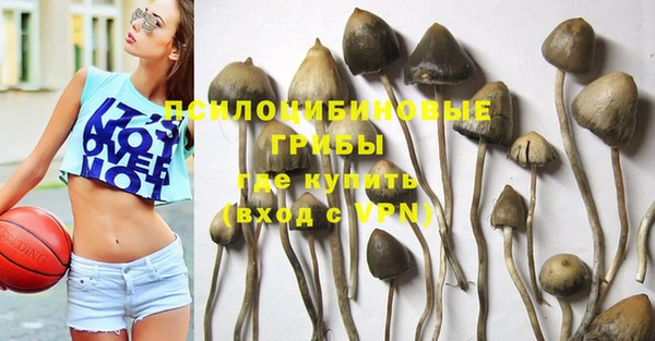 метадон Абаза