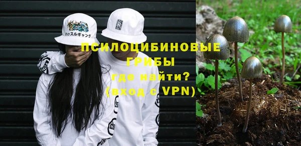 молекула духа Алексин