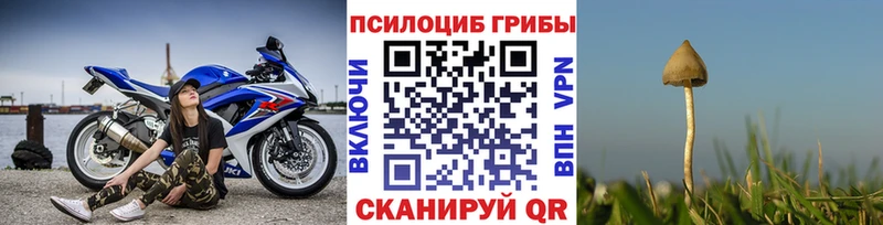 площадка состав Шарыпово Галлюциногенные грибы Magic Shrooms что такое наркотик ссылка на мегу ТОР