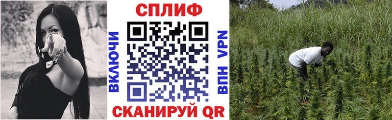 где продают Шарыпово Шишки марихуана Ganja